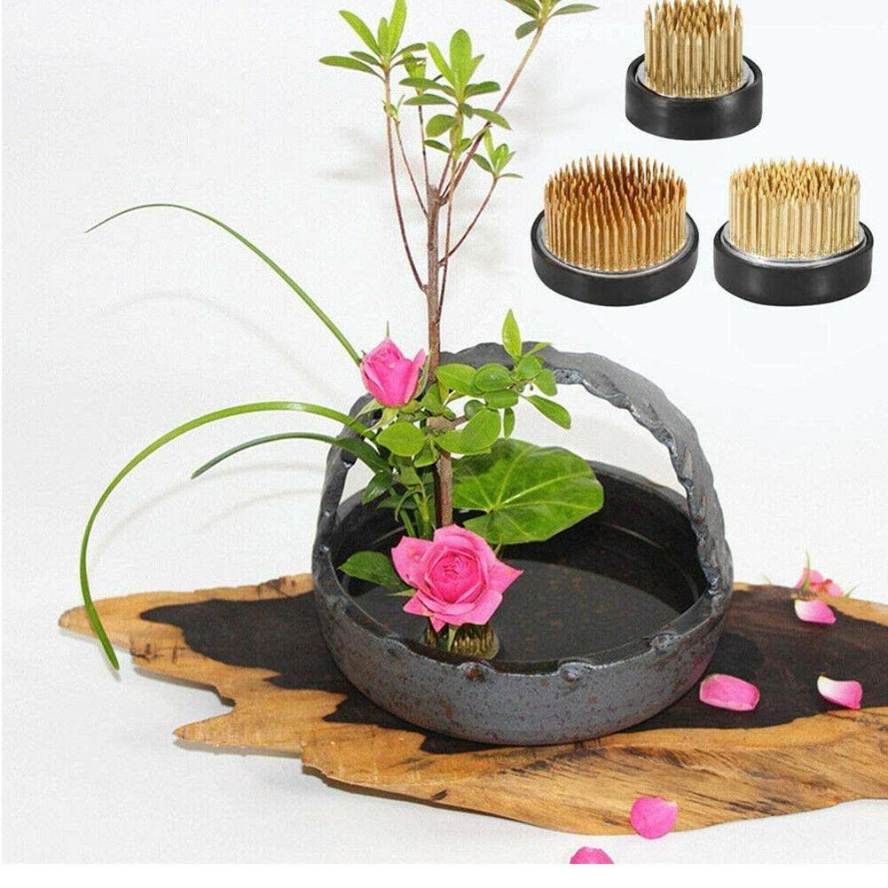 Ikebana Vase Kenzan - ضفدع زهرة ايكيبانا المستديرة مع حشية