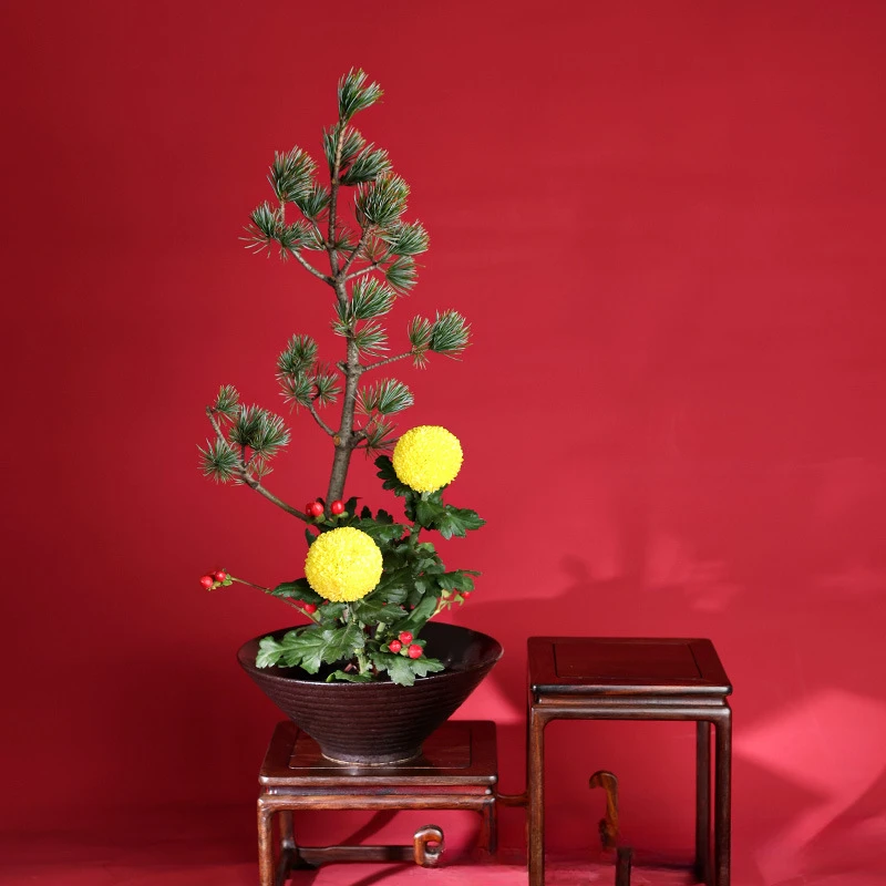 مزهرية الضفدع اليابانية باقة ا - مراجعة Ikebana Vase Kenzan وسعره