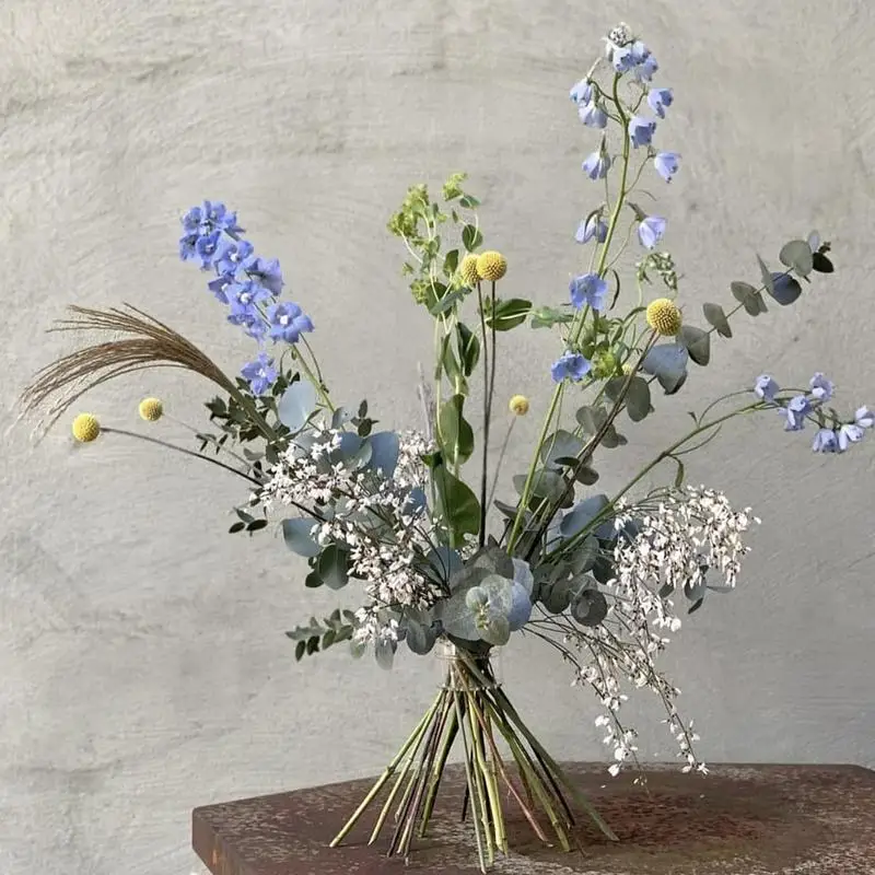 حامل جذع ايكيبانا حلزوني ، قوي - مراجعة Ikebana Vase Kenzan وسعره